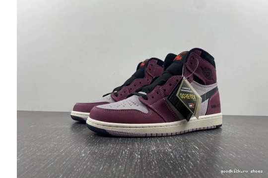 Berry Element  DB2889-500 Jordan DB2889-500 High  Gore-Tex 1 0327